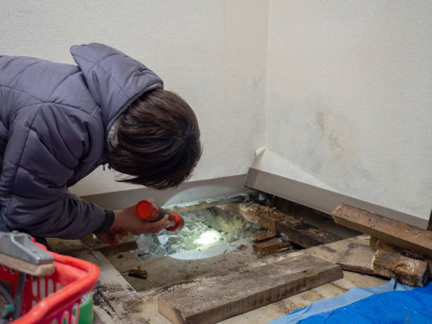 Best Asbestos and Lead Testing During Mold Inspection  in Berwick, PA